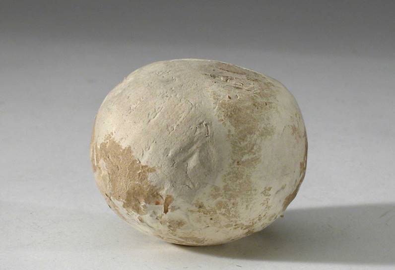 BALL MADE OF BIRCH CONK NM