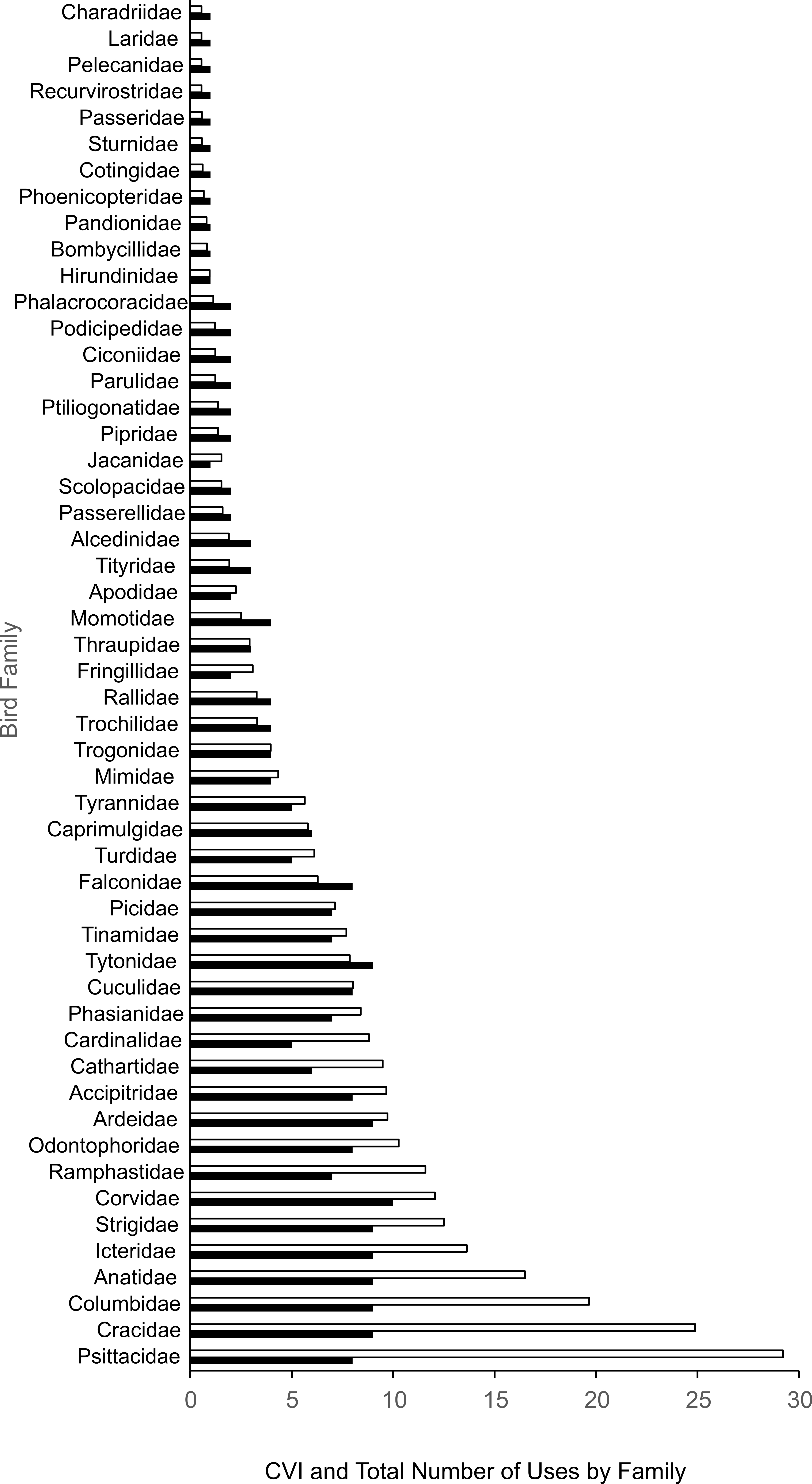 A close up of a comb

Description automatically generated