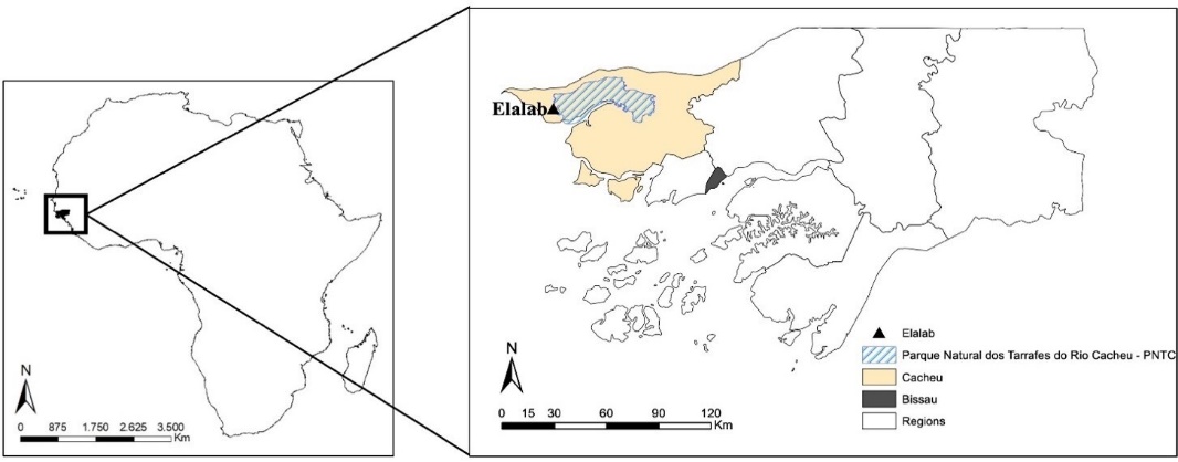 Diagram

Description automatically generated