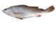 A picture containing fish, bread

Description automatically generated