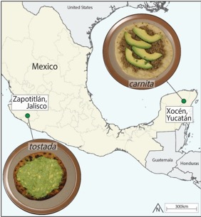 A map of mexico with plates of food

Description automatically generated