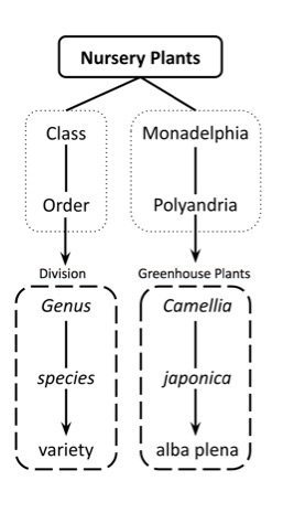 A diagram of a plant

Description automatically generated