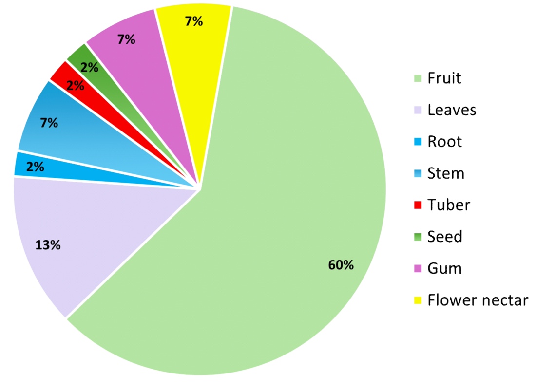 A diagram of a fruit plant

Description automatically generated with medium confidence