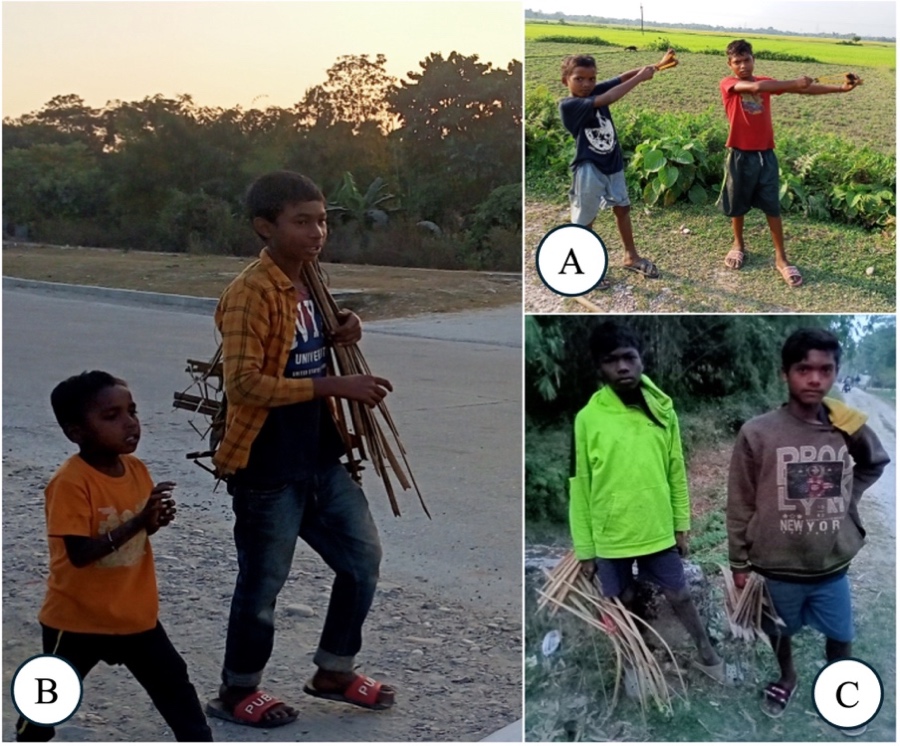 A collage of children carrying sticks

AI-generated content may be incorrect.