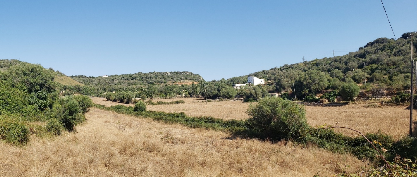 A field with trees and a house in the distance

AI-generated content may be incorrect.