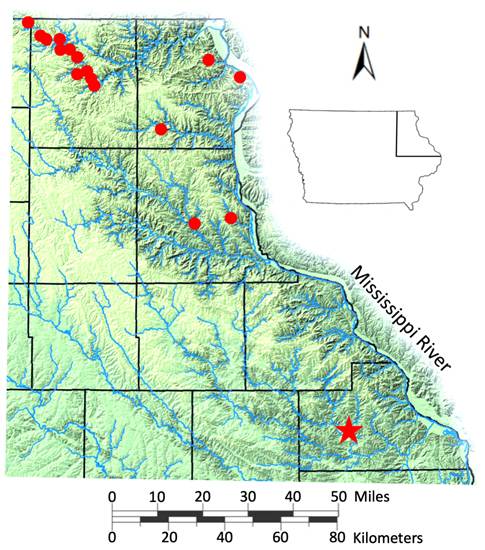 A map of mississippi river

AI-generated content may be incorrect.