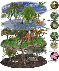 An illustration of the Jotï Cosmos, Spheres of Life and Trees, featuring disks of different habitats from the forest floor, underbrush, water and sky, connected by trees and plants, and including a variety of animal life and humans within one complex but whole ecosystem. Elaborated by Nuria Martín.