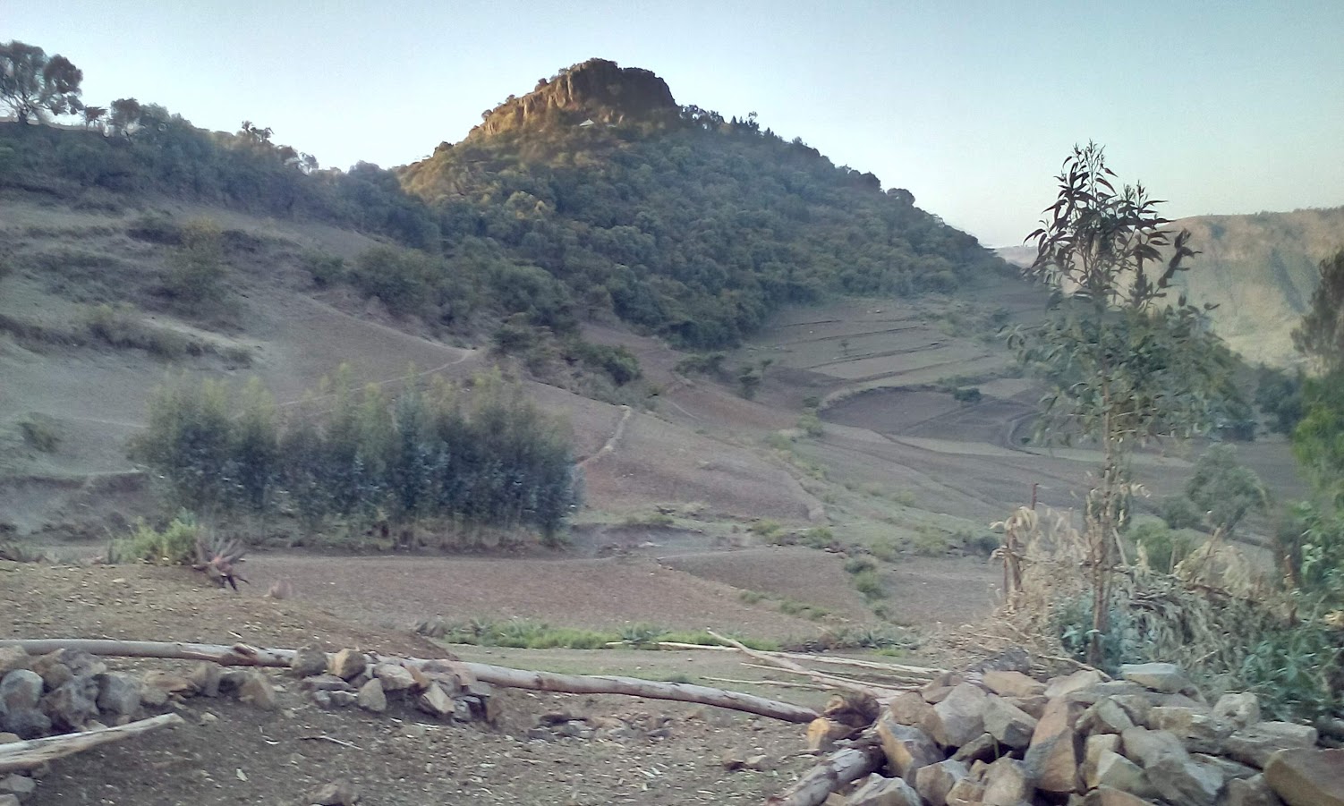 Figure 9 Agricultural expansion as primary threat wild edible plants in Simada District, Photograph taken by Kindye Belaye Wassie (2022).