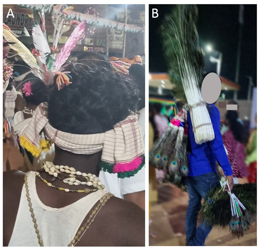 Figure 3 Galliformes feathers in folklore and festivities A Use of colored Galliformes feathers on head crowns during folk dances at festivals B sale of P. cristatus feathers in local markets. Photo by ©Bhawani Sabat.